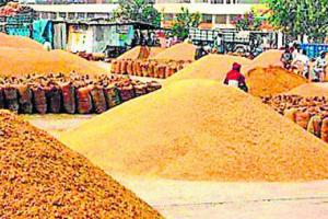 ਦੋ ਸਾਲਾਂ ਤੋਂ ਹਰਿਆਣਾ ‘ਚ ਨਹੀਂ ਸੜਿਆ ਅਨਾਜ ਦਾ ਇੱਕ ਵੀ ਦਾਣਾ
