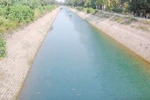 ਭਾਖੜਾ ਡੈਮ ‘ਚ ਪਾਣੀ ਘਟਣ ਕਾਰਨ ਸਿੰਚਾਈ ਦਾ ਸੰਕਟ ਬਣਿਆ 