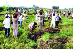 ਸਾਧ-ਸੰਗਤ ਨੇ 25 ਲੱਖ ਦੇ ਕਰੀਬ ਬੂਟੇ ਲਾ ਕੇ ਮਨਾਇਆ ਅਵਤਾਰ ਦਿਹਾੜਾ