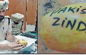 ‘ਪਾਕਿਸਤਾਨ ਜ਼ਿੰਦਾਬਾਦ’ ਲਿਖੇ ਸੇਬ ਮਿਲਣ ‘ਤੇ ਲੋਕਾਂ ‘ਚ ਚਿੰਤਾ