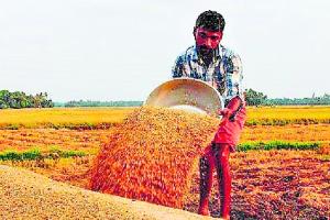 ਕੇਂਦਰ ਦੀ ਨਵੀਂ ਫਸਲ ਖਰੀਦ ਨੀਤੀ ਕਿਸਾਨ ਜਥੇਬੰਦੀਆਂ ਵੱਲੋਂ ਮੁੱਢੋਂ ਰੱਦ