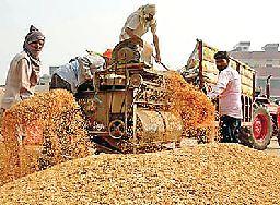 ਪੰਜਾਬ ਕੈਬਨਿਟ ਨੇ ਲਿਆ ਝੋਨੇ ਦੀ ਖ਼ਰੀਦ ਤਿਆਰੀਆਂ ਦਾ ਜਾਇਜ਼ਾ