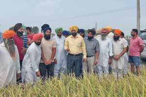 ਝੋਨੇ ਦੀਆਂ ਫਸਲਾਂ ਤੇ ਸਬਜ਼ੀਆਂ ਦਾ ਹੋਇਆ ਭਾਰੀ ਨੁਕਸਾਨ