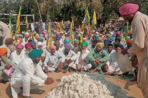 ਕਿਸਾਨਾਂ ਨੇ ਨਰਮਾ ਸਾੜ ਪ੍ਰਗਟਾਇਆ ਸਰਕਾਰ ਖਿਲਾਫ਼ ਰੋਸ