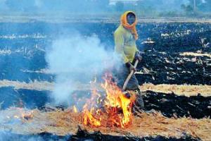 ਪਰਾਲੀ ਸਾੜਨ ਵਾਲਿਆਂ?ਨੂੰ ਨਹੀਂ ਮਿਲੇਗੀ ਖੇਤੀ ਲਈ ਮੁਫ਼ਤ ਬਿਜਲੀ