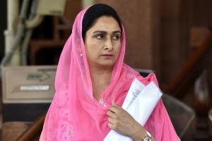 ਸਿੱਧੂ ਪਾਕਿਸਤਾਨੀ ਏਜੰਟ, ਸਪਸ਼ਟੀ ਕਰਨ ਦੇਣ ਰਾਹੂਲ ਗਾਂਧੀ: ਹਰਸਿਮਰਤ