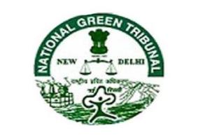 ਐਨਜੀਟੀ ਦਾ ਵੱਡਾ ਫੈਸਲਾ, ਪਰਾਲੀ ਸਾੜਨ ਵਾਲੇ ਕਿਸਾਨਾਂ ਨੂੰ ਨਹੀਂ ਮਿਲੇਗੀ ‘ਮੁਫ਼ਤ’ ਬਿਜਲੀ