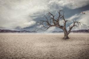 ਵਾਤਾਵਰਨ ਬਦਲਾਅ: ਸੰਸਾਰਿਕ ਤਾਪਮਾਨ ‘ਤੇ ਲੱਗੇਗੀ ਬ੍ਰੇਕ