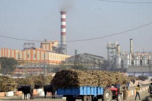 ਖੰਡ ਮਿਲ ਮਾਲਕਾ ਅੱਗੇ ਝੂਕੀ ਸਰਕਾਰ, 25 ਰੁਪਏ ਪ੍ਰਤੀ ਕੁਇੰਟਲ ਸਰਕਾਰ ਦੇਵੇਗੀ ਸਬਸਿਡੀ