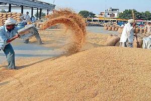 ਖ਼ਰੀਦ ਤੋਂ ਐਫ.ਸੀ.ਆਈ. ਵੱਲੋਂ ਲਾਂਭੇ ਹੋਣ ਦਾ ਮੁੱਦਾ ਕੇਂਦਰ ਕੋਲ ਉਠਾਏਗਾ ਪੰਜਾਬ