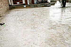 ਫਸਲਾਂ ‘ਤੇ ਗੜੇਮਾਰੀ ਦਾ ਕਹਿਰ