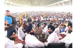 ਜਾਖੜ ਨੂੰ ਫਿਰੋਜਪੁਰ ਵਲੋਂ ਚੋਣ ਲੜਨ ਦੀ ਮਜੀਠਿਆ ਨੇ ਦਿੱਤੀ ਖੁੱਲੀ ਚੁਣੋਤੀ