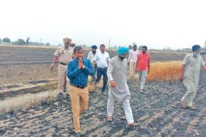 ਅੱਗ ਲੱਗਣ ਨਾਲ 200 ਤੋਂ ਵੱਧ ਏਕੜ ਕਣਕ ਸੜ ਕੇ ਹੋਈ ਸੁਆਹ