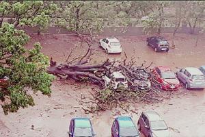 ਓਡੀਸ਼ਾ ‘ਚ ‘ਫਾਨੀ’ ਦਾ ਕਹਿਰ, 3 ਮੌਤਾਂ