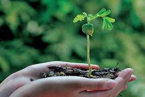 ਸੋਸ਼ਲ ਮੀਡੀਆ ਦੀ ਬਜਾਏ ਧਰਤੀ ‘ਤੇ ਰੁੱਖ ਲਾਉਣ ਦੀ ਲੋੜ