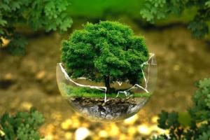 ਵਿਸ਼ਵ ਵਾਤਾਵਰਨ ਦਿਵਸ : ਭਾਰਤ ਦੀ ਅਨੋਖੀ ਪਹਿਲ ਦਾ ਹਿੱਸਾ ਬਣੇ ਕਈ ਕੇਂਦਰੀ ਮੰਤਰੀ