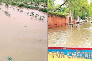 ਪੰਜਾਬ ਸਮੇਤ ਕਈ ਸੂਬਿਆਂ ‘ਚ ਭਾਰੀ ਮੀਂਹ