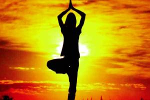 ਕੌਮਾਂਤਰੀ ਯੋਗ ਦਿਵਸ ‘ਤੇ 21 ਜੂਨ ਨੂੰ ਸ਼ਾਹ ਸਤਿਨਾਮ ਜੀ ਧਾਮ ‘ਚ ਸਮਾਰੋਹ