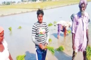 ਕੁਸ਼ਤੀ ਦੀਆਂ ਕੌਮੀ ਖਿਡਾਰਨਾਂ ਘਰ ਦੇ ਗੁਜ਼ਾਰੇ ਲਈ ਝੋਨਾ ਲਾਉਣ ਲਈ ਮਜ਼ਬੂਰ