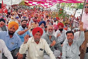 ਬਿਜਲੀ ਕਾਮਿਆਂ ਨੇ ਮੁੱਖ ਦਫ਼ਤਰ ਅੱਗੇ ਸੂਬਾ ਪੱਧਰੀ ਧਰਨੇ ਦੌਰਾਨ ਪਾਵਰਕੌਮ ਨੂੰ ਲਲਕਾਰਿਆ