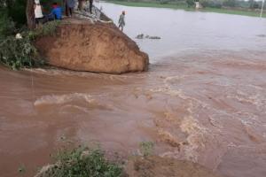 ਘੱਗਰ ‘ਚ ਪਿਆ 45 ਫੁੱਟ ਚੌੜਾ ਪਾੜ, ਹਜ਼ਾਰਾਂ ਏਕੜ ਖੜ੍ਹੀਆਂ ਫਸਲਾਂ ਹੋਈਆਂ ਤਬਾਹ