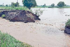 ਮਾਲਵੇ ‘ਚ ਪਏ ਪਾੜਾਂ ਕਾਰਨ ਕਿਸਾਨਾਂ ਨੂੰ ਸੈਂਕੜੇ ਕਰੋੜਾਂ ਦਾ ਰਗੜਾ