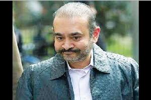 ਭਗੌੜੇ ਕਾਰੋਬਾਰੀ ਨੀਰਵ ਮੋਦੀ ਦੀ ਜ਼ਮਾਨਤ ਪਟੀਸ਼ਨ ਫਿਰ ਰੱਦ