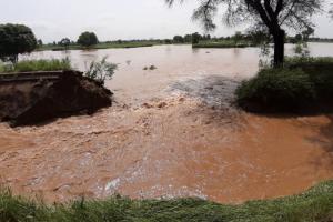 ਤਿਉਣਾ ਰਜਬਾਹੇ ‘ਚ ਪਾੜ, ਸੈਂਕੜੇ ਏਕੜ ਫਸਲ ਡੁੱਬੀ