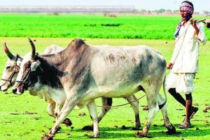 ਫ਼ਕੀਰ ਦਾ ਉਪਦੇਸ਼