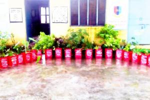 ਇੰਜ ਘਰੇ ਤਿਆਰ ਕਰ ਸਕਦੇ ਹੋ ਹਰੇ-ਭਰੇ ਗਮਲ