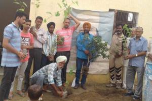 ਬਲਾਕ ਮਲੇਰਕੋਟਲਾ ਦੀ ਸਾਧ-ਸੰਗਤ ਨੇ ਕੀਤੀ ਆਪਣੇ ਇਲਾਕੇ ਛਾਂਦਾਰ ਪੌਦੇ