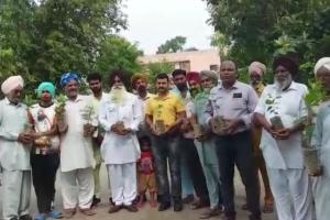 ਬਲਾਕ ਤਪਾ ਭਦੌੜ ਦੀ ਸਾਧ-ਸੰਗਤ ਨੇ ਸਰਪੰਚ ਦੀ ਅਗਵਾਈ ਹੇਠ ਲਾਏ ਪੌਦੇ