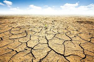 ਜ਼ਮੀਨ ਦੀ ਵਿਗੜਦੀ ਸਿਹਤ ‘ਚ ਹੋਵੇਗਾ ਸੁਧਾਰ