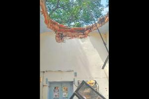 ਮੁੱਖ ਮੰਤਰੀ ਦੇ ਸ਼ਹਿਰ ’ਚ ਸਰਕਾਰੀ ਇਮਾਰਤ ਨੂੰ ਤਰਸੇ ਸਿਹਤ ਦੇ ਰਖਵਾਲੇ