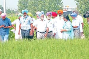 ਕੁਦਰਤੀ ਸਰੋਤਾਂ ਦੀ ਸੰਭਾਲ ਕਰਕੇ ਭਵਿੱਖ ਸਾਂਭਣ ਦੀ ਅਤੀ ਲੋੜ : ਡਾ. ਢਿੱਲੋਂ