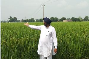 ਹਰਵਿੰਦਰ ਸਿੰਘ ਬੜਿੰਗ ਬਣਿਆ ਕਿਸਾਨਾਂ ਲਈ ਮਿਸਾਲ