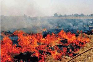 ਪ੍ਰਦੂਸ਼ਣ ਬਾਰੇ ਇੱਕਮਤ ਹੋਣਾ ਜ਼ਰੂਰੀ