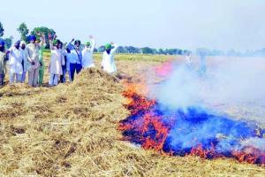 ਜ਼ਿਲ੍ਹਾ ਬਰਨਾਲਾ ਦੇ ਪਿੰਡ ਕਲਾਲਾ ‘ਚ ਸਰਕਾਰੀ ਹੁਕਮਾਂ ਨੂੰ ਸਿੱਕੇ ਟੰਗ ਕਿਸਾਨਾਂ ਨੇ ਪਰਾਲੀ ਨੂੰ ਲਾਈ ਅੱਗ