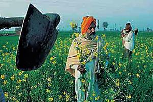 ਆਪਾਂ ਤਾਂ ਕਾਲਜੋਂ ਸਿੱਧਾ ਖੇਤ ਨੂੰ ਜਾਂਦੇ ਹੁੰਦੇ ਸੀ