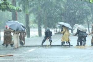 ਕੇਰਲ ‘ਚ ਭਾਰੀ ਮੀਂਹ , ਸੱਤ ਜਿਲਿਆਂ ‘ਚ ਅਲਰਟ