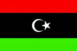 ਨੇਵੀ ਨੇ ਲੀਬੀਆ ਵਿੱਚ 98 ਗੈਰਕਾਨੂੰਨੀ ਪ੍ਰਵਾਸੀਆਂ ਨੂੰ ਬਚਾਇਆ