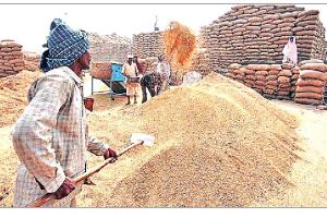 ਆੜ੍ਹਤੀਆ ਐਸੋਸੀਏਸ਼ਨ ਨੇ ਮੰਡੀਆਂ ਦੇ ਬਾਈਕਾਟ ਨੂੰ ਅਫ਼ਵਾਹ ਦੱਸਿਆ