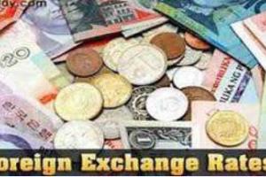 ਲਗਾਤਾਰ ਦੂਜੇ ਹਫ਼ਤੇ ਵਿਦੇਸ਼ੀ ਮੁਦਰਾ ਭੰਡਾਰ ਨਵੇਂ ਰਿਕਾਰਡ ਪੱਧਰ ‘ਤੇ