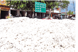 ਨਰਮੇ ਦੀ ਖਰੀਦ:ਕਪਾਹ ਨਿਗਮ ਤੇ ਕਿਸਾਨ ਯੂਨੀਅਨ ‘ਚ ਰੱਫੜ ਪਿਆ