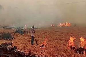 ਵਾਤਾਵਰਨ ਪ੍ਰਤੀ ਗੈਰ-ਜ਼ਿੰਮੇਵਾਰਾਨਾ ਰਵੱਈਆ