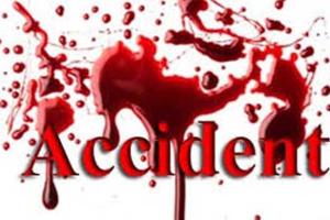 ਬੇਸਹਾਰਾ ਪਸ਼ੂ ਬਣੇ ਦੋ ਨੌਜਵਾਨਾਂ ਦੀ ਮੌਤ ਦਾ ਕਾਰਨ