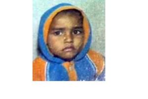 ਪੰਜਾਬ ‘ਚ ਆਵਾਰਾ ਕੁੱਤਿਆਂ ਦਾ ਕਹਿਰ, ਪ੍ਰਵਾਸੀ ਮਜ਼ਦੂਰ ਦੇ 5 ਸਾਲਾ ਬੱਚੇ ਨੂੰ ਨੋਚ-ਨੋਚ ਮਾਰ ਮੁਕਾਇਆ