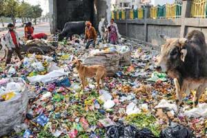 ਸਾਫ਼-ਸਫ਼ਾਈ ਦੇ ਖੋਖਲੇ ਦਾਅਵੇ ?