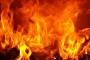 ਘਰ ‘ਚ ਲੱਗੀ ਅੱਗ, ਤਿੰਨ ਪਸ਼ੂ ਝੁਲਸ ਕੇ ਮਰੇ