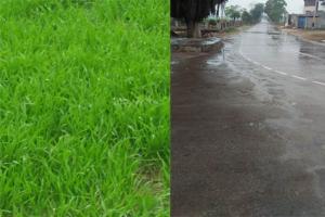 ਲਗਾਤਾਰ ਪੈ ਰਹੀ rain ਨੇ ਆਮ ਜਨਜੀਵਨ ਕੀਤਾ ਪ੍ਰਭਾਵਿਤ